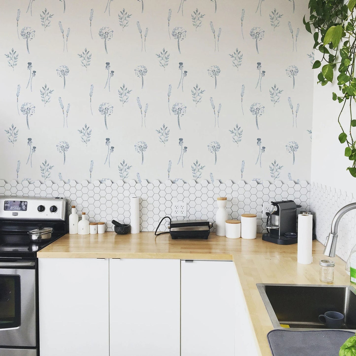 a modern kitchen with a white countertop, a black stove, and various kitchen appliances and accessories.