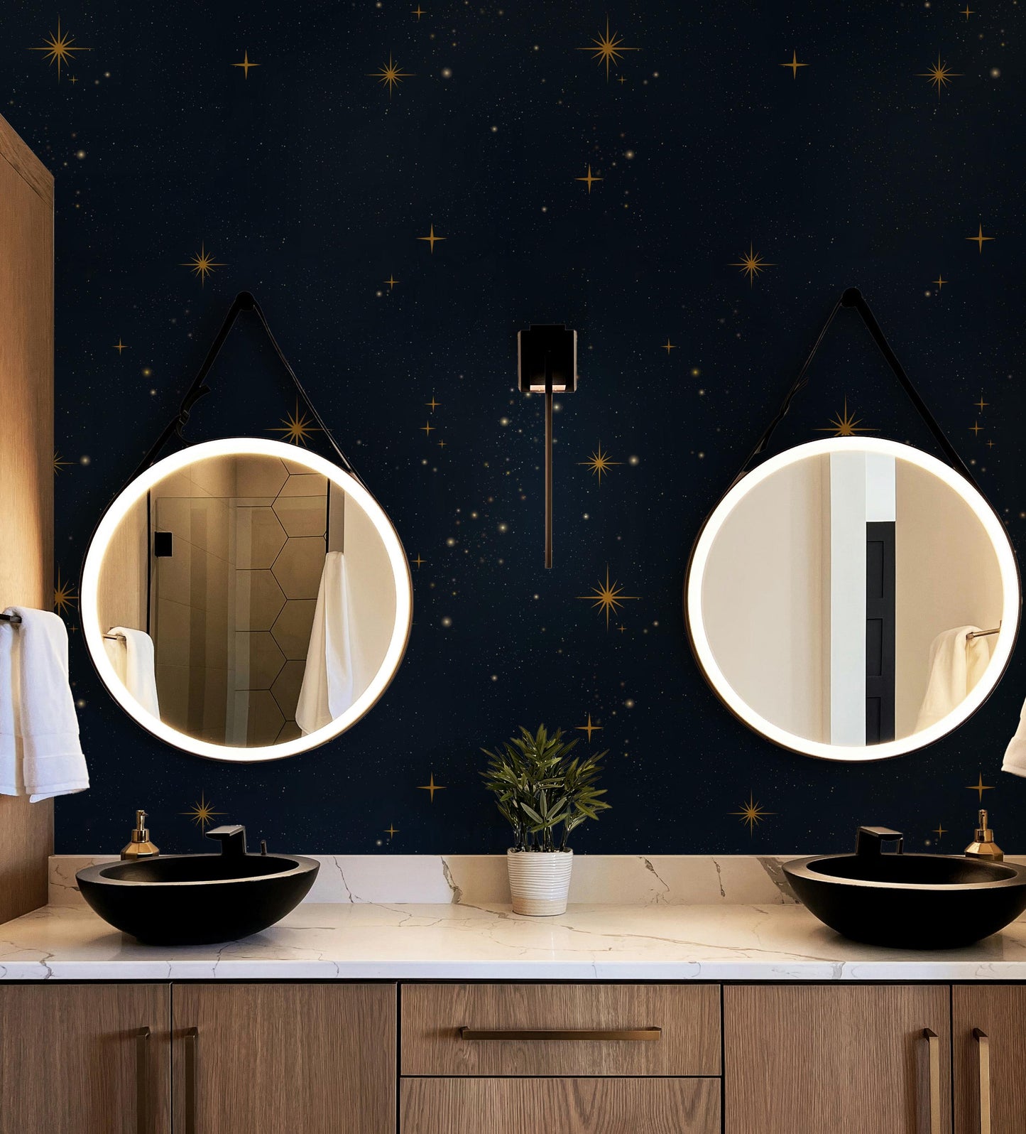 a bathroom with two round mirrors and a potted plant
