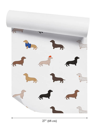 a repeating pattern of dachshund dogs in various colors and poses, including one dachshund wearing a blue sweater.