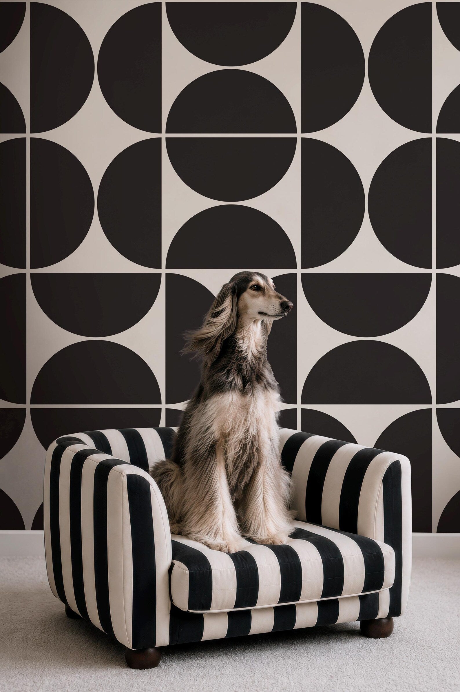 A large, long-haired dog sits on a black and white striped pet bed against a black and white geometric patterned wall.