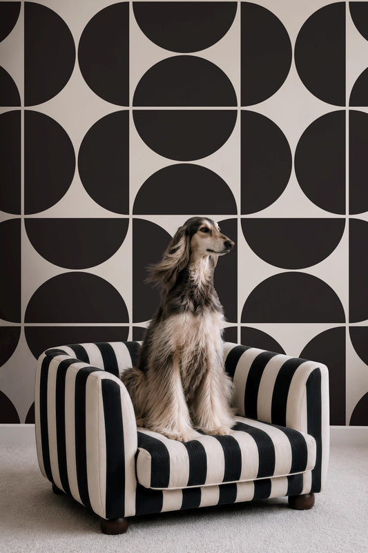 A large, long-haired dog sits on a black and white striped pet bed against a black and white geometric patterned wall.