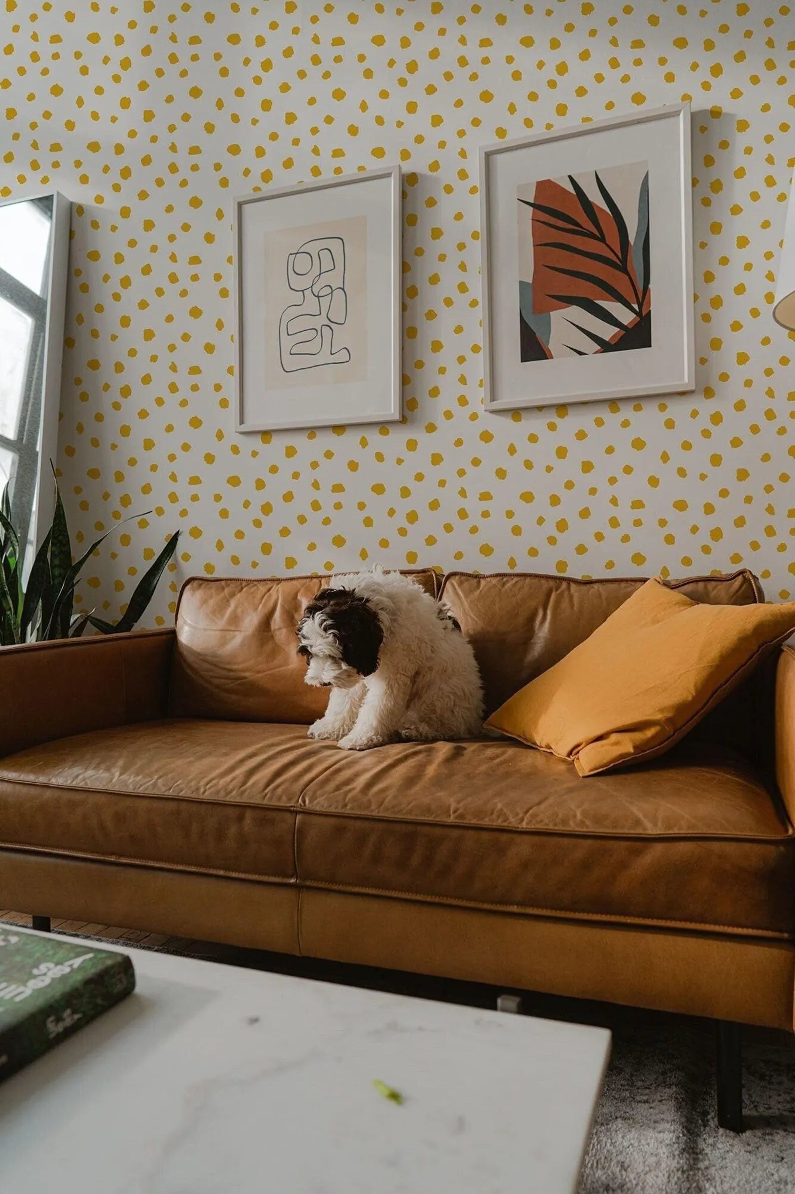 A small white dog sits on a brown leather couch, with two framed abstract artworks hanging on the wall above it.