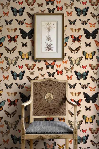 a chair with a woven seat and backrest, set against a wall adorned with a repeating pattern of colorful butterflies. Above the chair, there is a framed picture hanging on the wall.