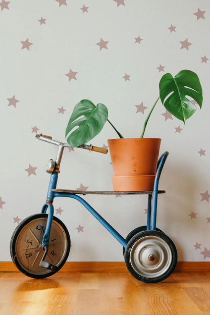 A blue tricycle with a potted plant on the back wheel, set against a star-patterned wall.