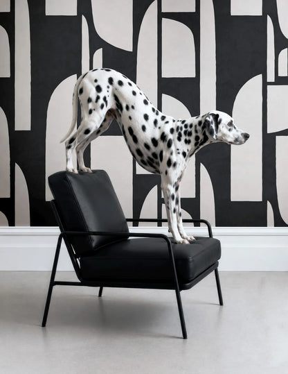 A Dalmatian dog stands on a black leather chair, with its front paws resting on the armrest and its hind legs on the seat.