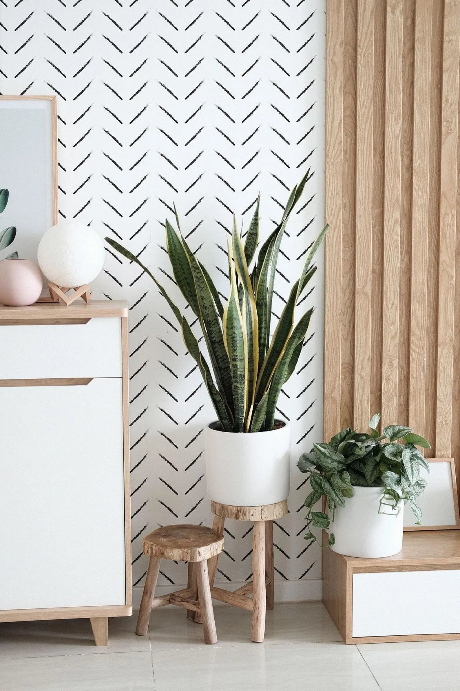 a modern and minimalist interior design with a focus on plants and wood accents. There are two potted plants, one larger and one smaller, placed on wooden stools against a white wall with a black and white zigzag pattern. The room also includes a dresser, a wooden shelf, and a wooden door, creating a cohesive and visually appealing space.