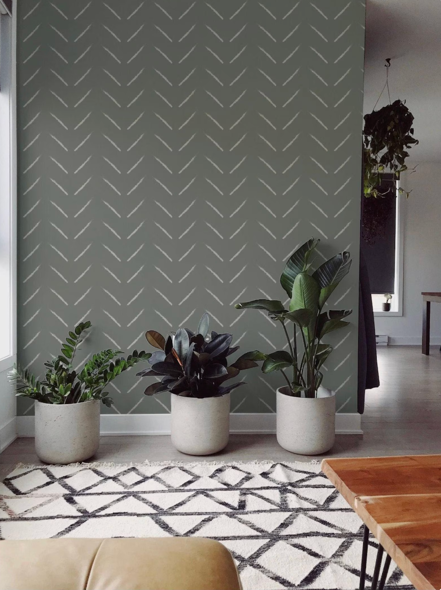 a living room with a gray wall adorned with a zigzag pattern. Three potted plants are placed on a rug in front of the wall, creating a cozy and inviting atmosphere.