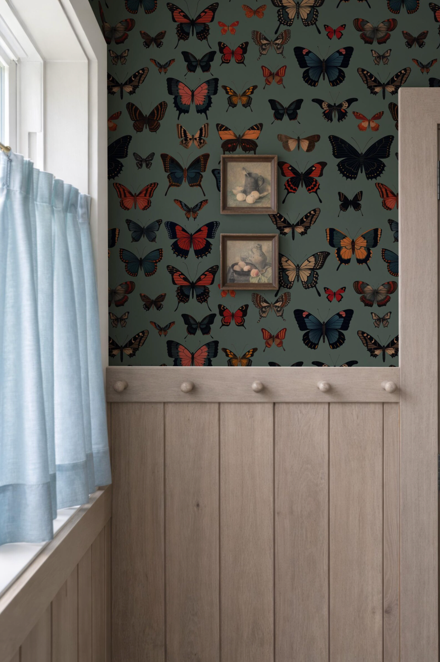 a wall with a pattern of butterflies, including red, orange, and black butterflies, against a dark green background. There are two small framed pictures hanging on the wall, and a window with curtains is visible on the left side of the image.
