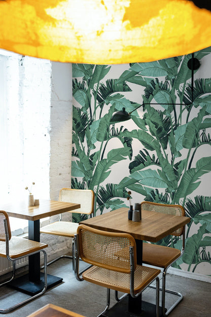 Tropical Leaf Wallpaper