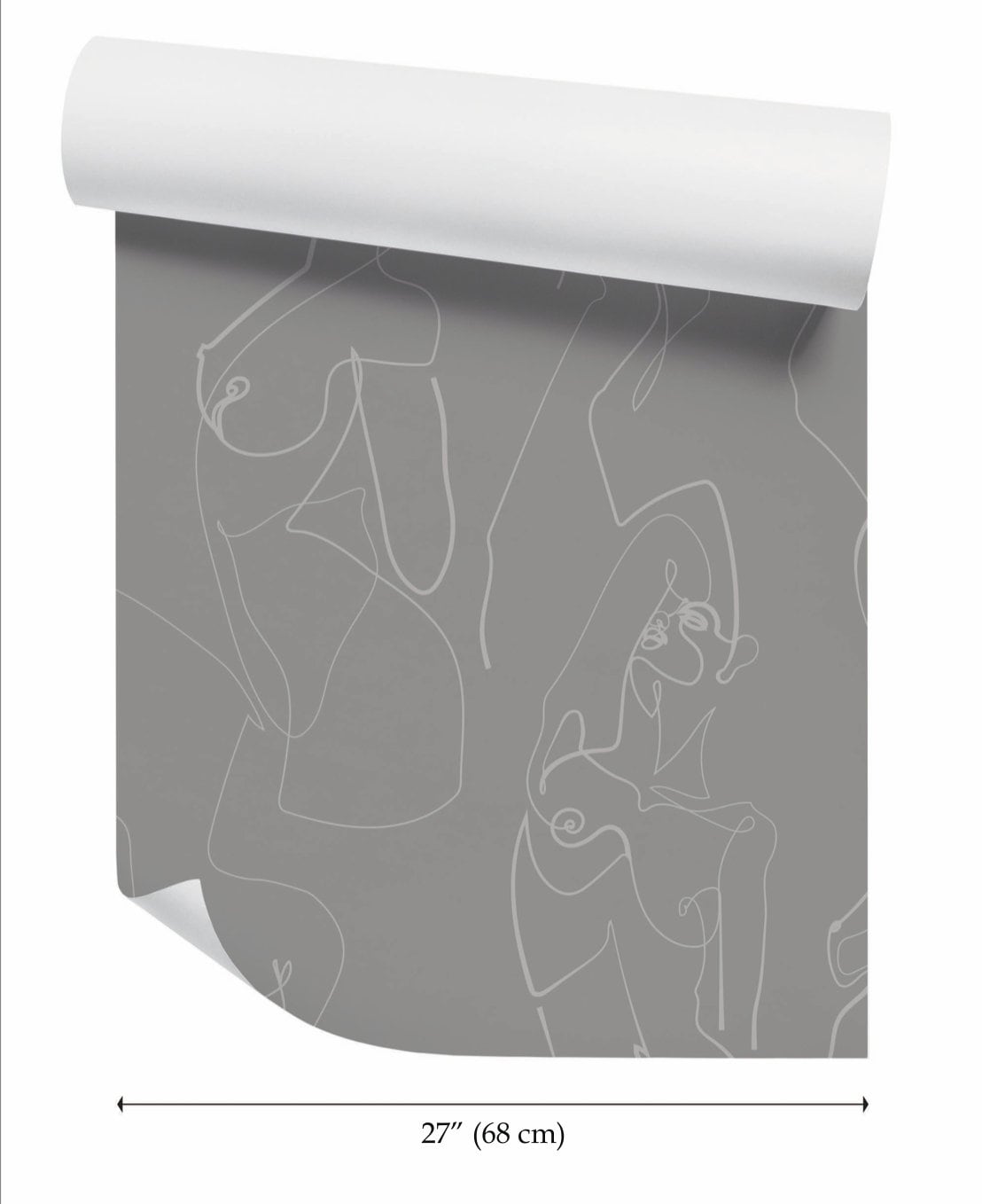 the width of a roll of paper with a drawing on it