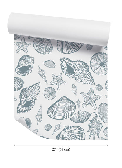 a wallpaper with shells and seashells on it